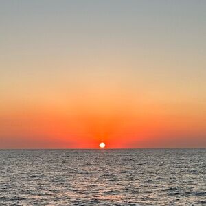 Meet your Posher, Carley